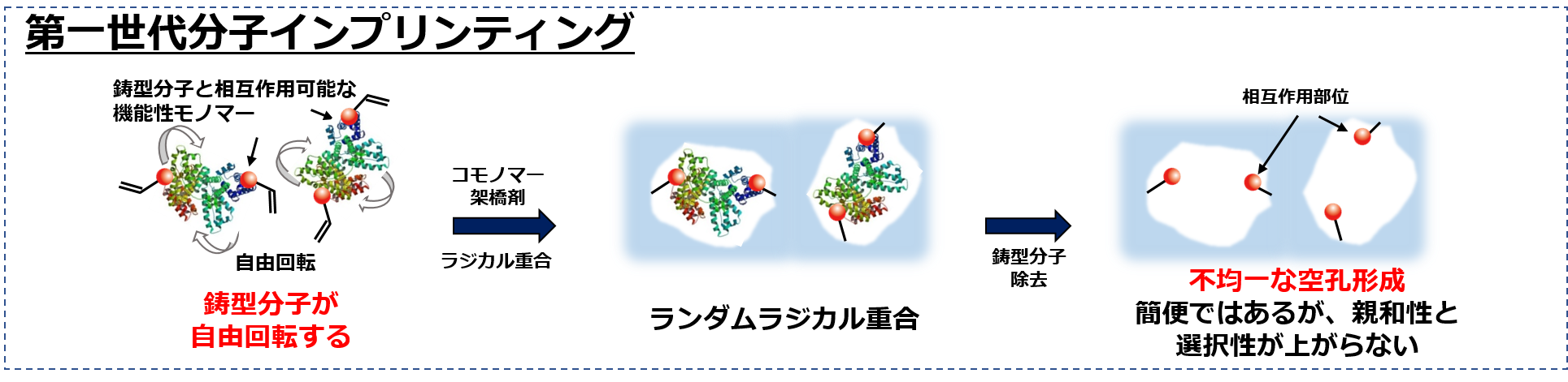 これまでの研究－分子の鋳型を取る 株式会社TearExo